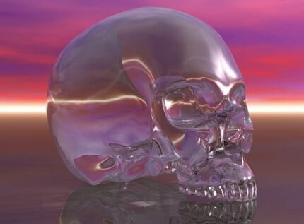 Dragons and Skull Wall Decals 06