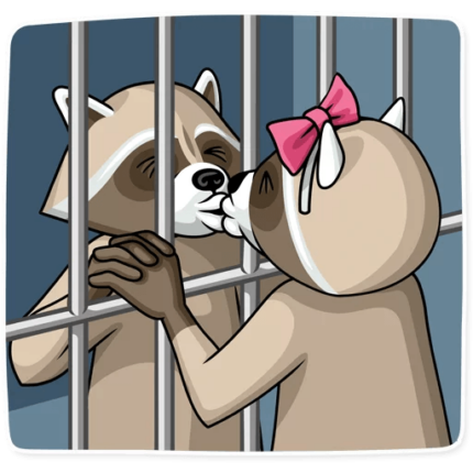 criminal raccoon_2