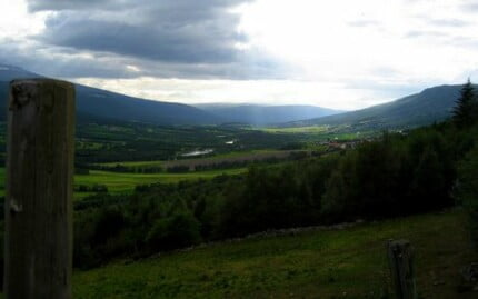 Landscape Vinyl Wall Graphic Decals 07