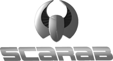 Scarab Decal Color Sticker 08