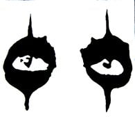 Alice Cooper Eyes Diecut Decal