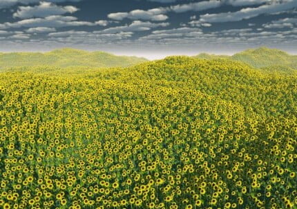 Buildings and Landscape Wall Decals 046