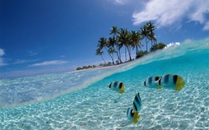 Fairies and Fantasy Wall Graphics 039