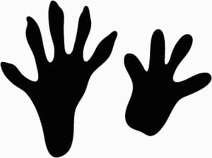 Animal Tracks Vinyl Decals 2