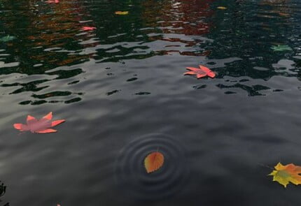 Close Up Photography Vinyl Graphics 41