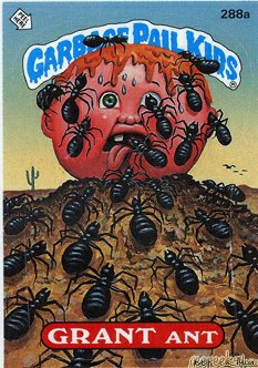 GRANT Ant Funny Sticker Name Decal