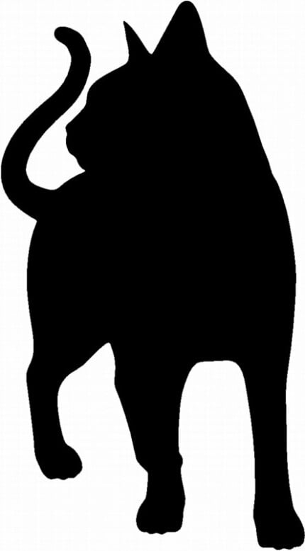 Cat Cats Animal Animals Vinyl Decal Sticker 04