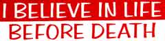 I Believe in Life Sticker Decal