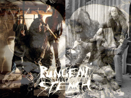 PUNGENT STENCH 2 Color Band Decal