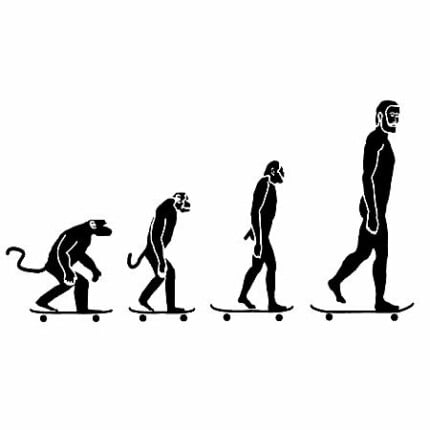 Evolution Vinyl Decal