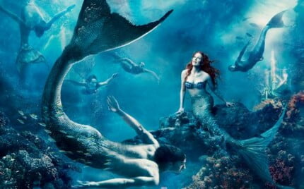 Fairies and Fantasy Wall Graphics 028