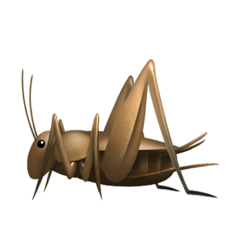 cricket emoji
