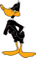 Daffy 05