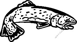 Fishing Decal Sticker 25