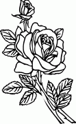Rose Decal 2