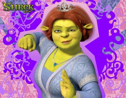 Shrek Decals and Vinyl Wall Graphics 14