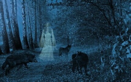 Fairies and Fantasy Wall Graphics 027