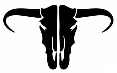 Longhorn Skull Vinyl Decal
