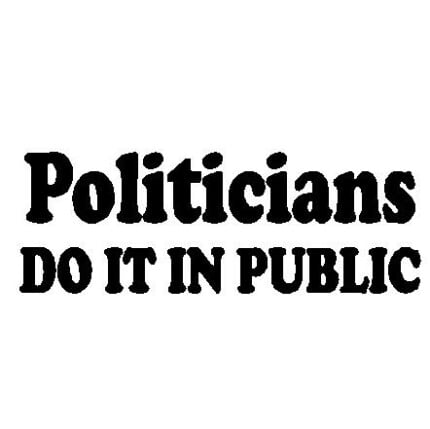 Politicians Decal 19