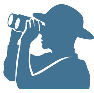 Scout Buffalo Diecut Decal