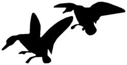 Two Mallards Vinyl Truck Decal