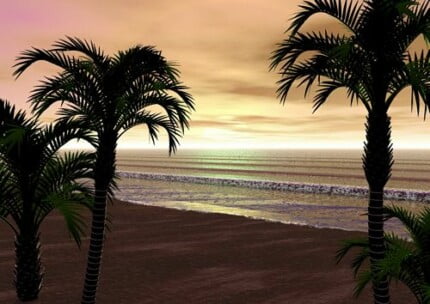 Dragons and Skull Wall Decals 38