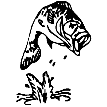 Jumpin Bass Decal