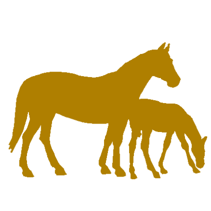 Horses vinyl car decal