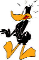 Daffy 02
