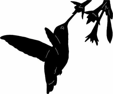 Humming Bird Birds Animal Animals Vinyl Decal Sticker 04