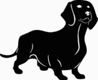 15J Dachshund Dog Decal