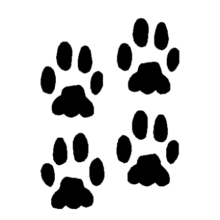518 Animal Tracks Decal