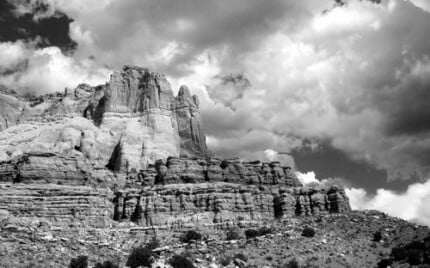 Black and White Vinyl Wall Decals 26