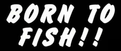 Born to Fish Vinyl Fishing Sticker