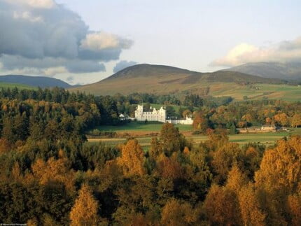 Fall Colors Adhesive Wall Graphics 44