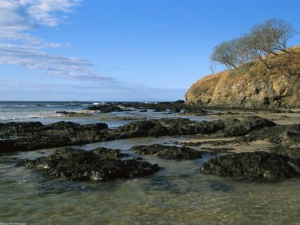 Landscape Vinyl Wall Graphic Decals 42