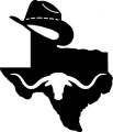 Texas Cowboy